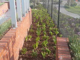 Irrigation Systems - 25