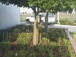 Irrigation Systems - 26