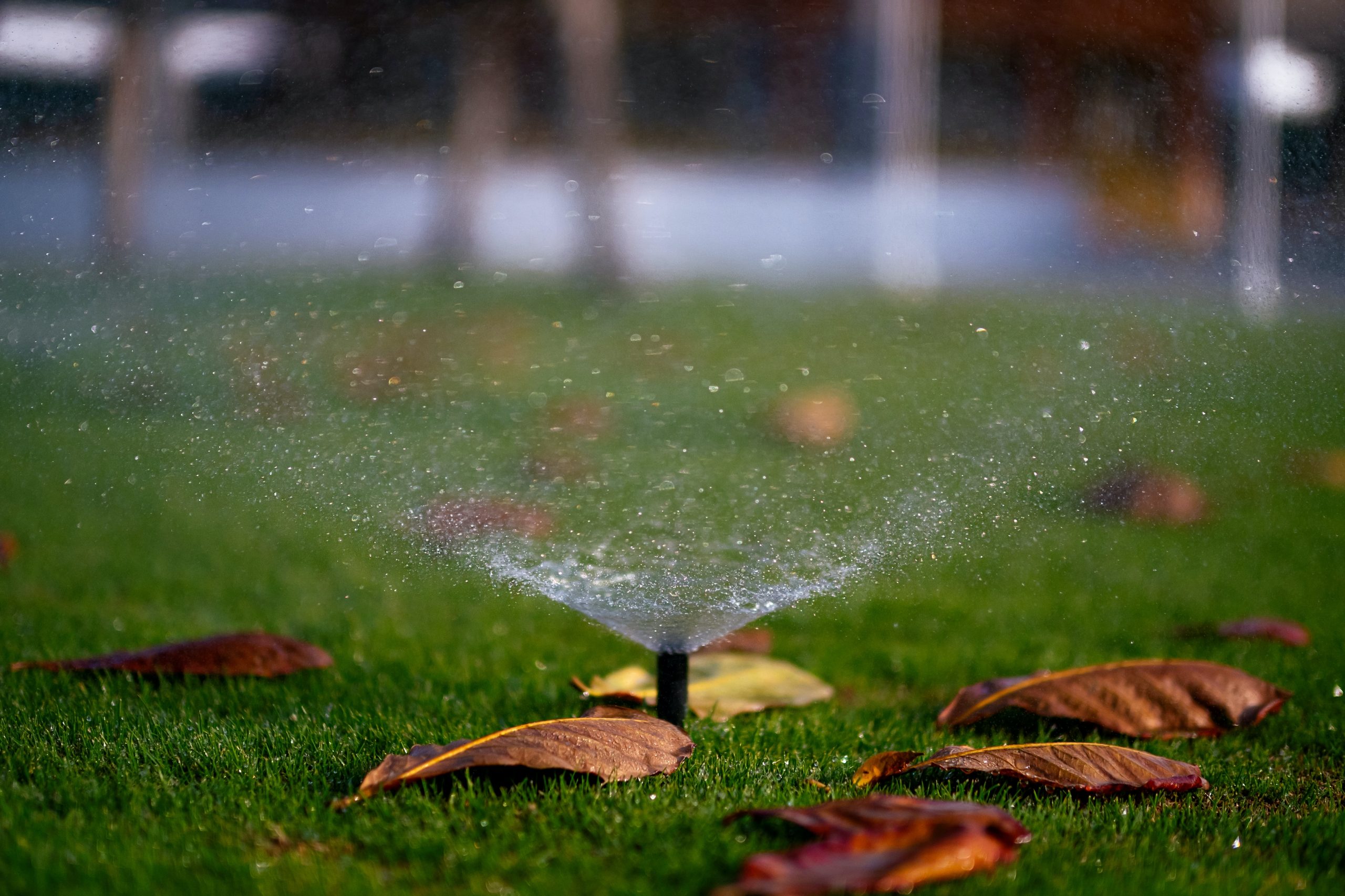 Rain Bird Popup sprinkler